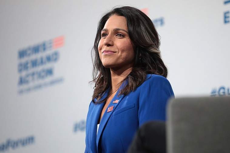 Tulsi Gabbard Warns That Biden's Domestic Terror Plan Could Turn Our ...