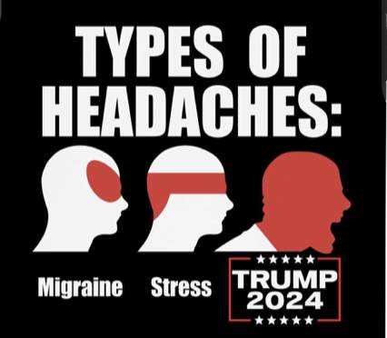 Get Ready Wokesters FYI Com   Types Of Headaches Migranes Stress Trump 2024 Meme Political FYI.com  